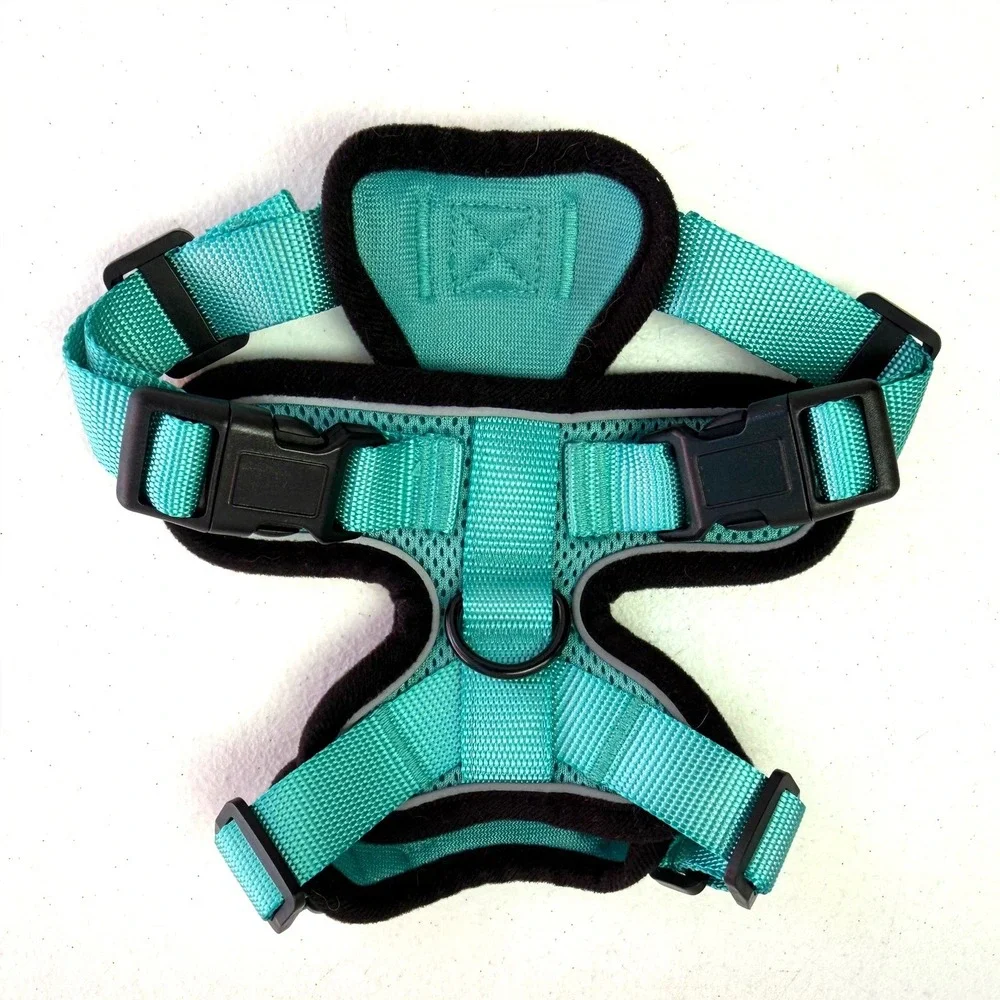 Rabbitgoo Dog Harness XS Teal No Pull Reflective Mesh Adjustabl Walking Vest Pet